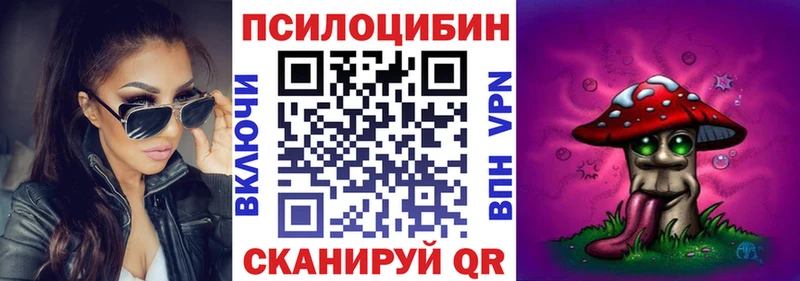 Галлюциногенные грибы Cubensis продажа наркотиков Сургут